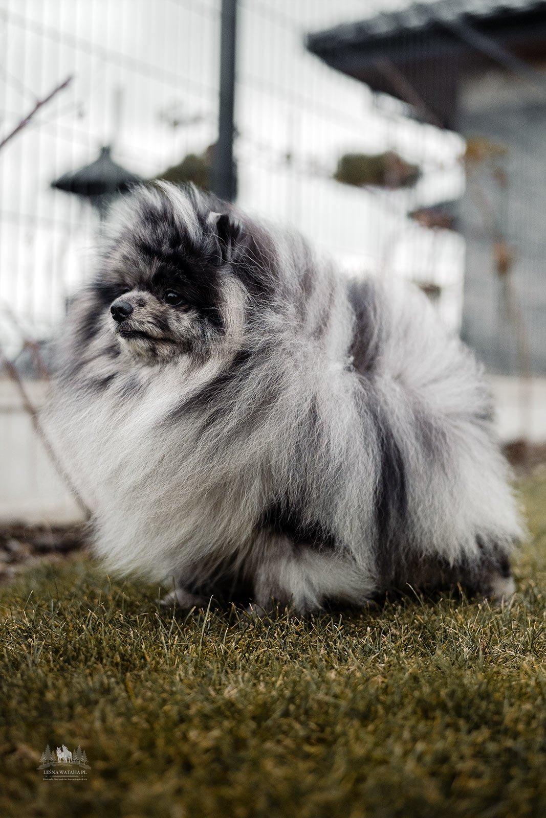 Choroby genetyczne cz.1